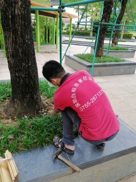 深圳白蚁防治中心.jpg 深圳白蚁防治中心.jpg